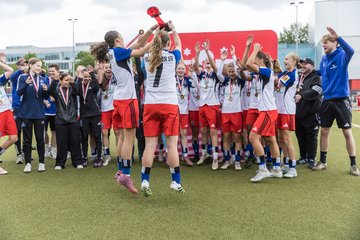Bild 135 - wCJ Pokalfinale (HSV - ETV)